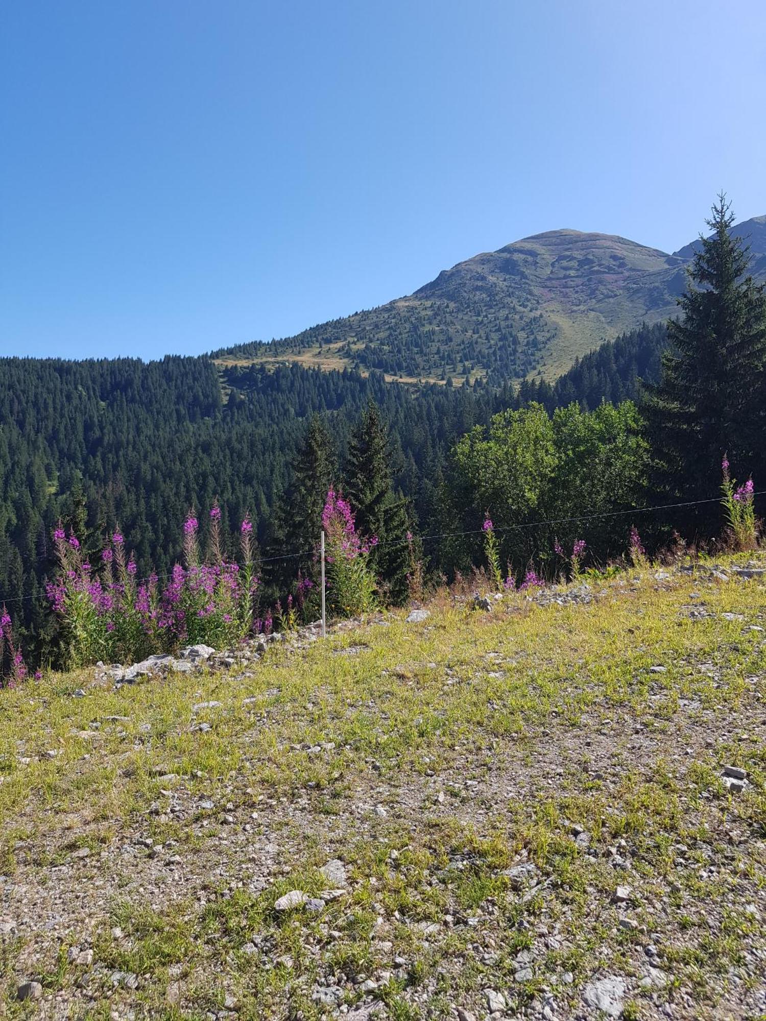 Les 7 Laux Immobilier Chalet E Prapoutel Exteriör bild